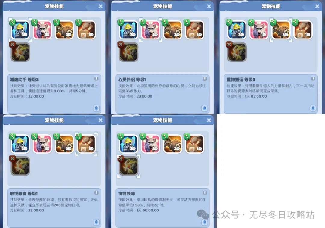 魔力宝贝宠物养成全流程，打造专属萌宠