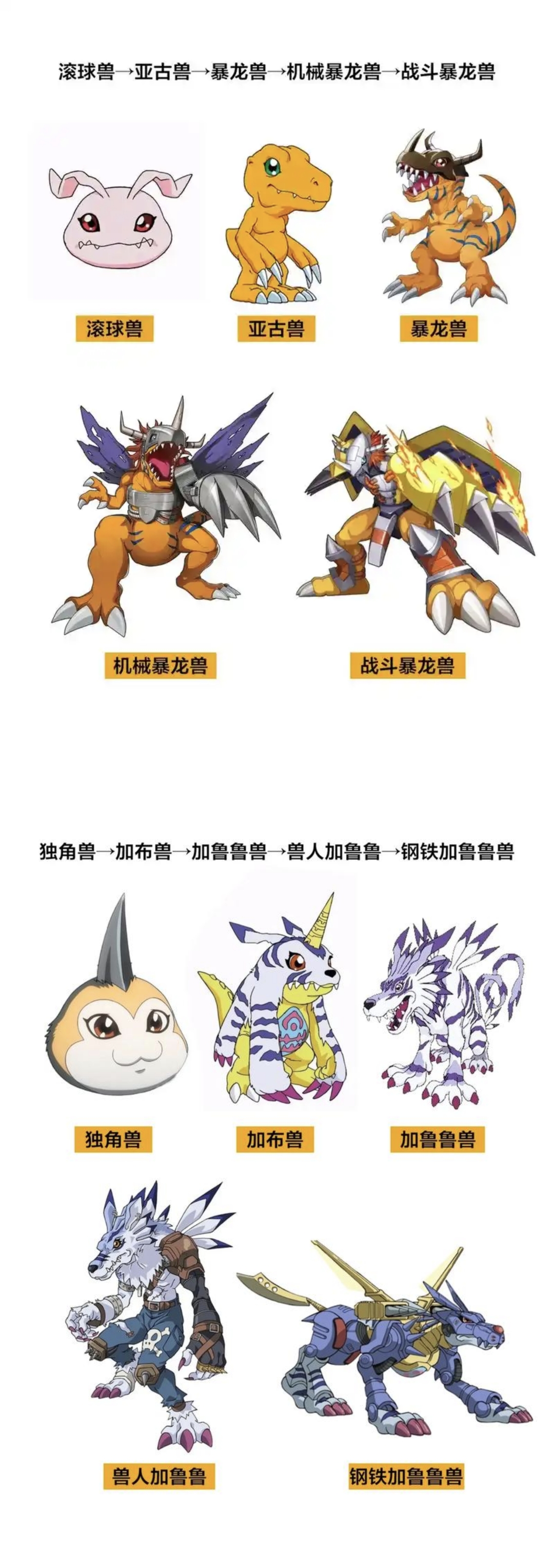 宠物进化路线详解，让你的宠物华丽蜕变