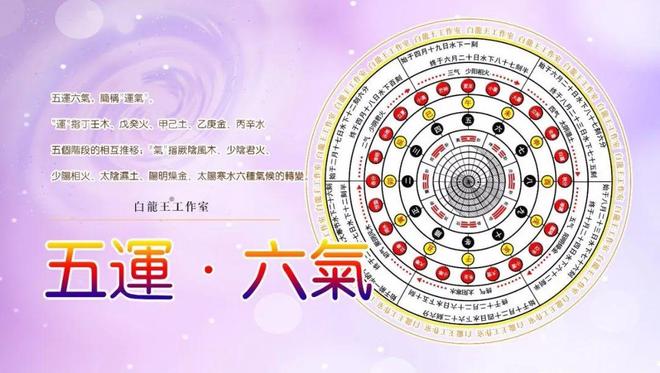 宠物技能领悟的技巧与运气