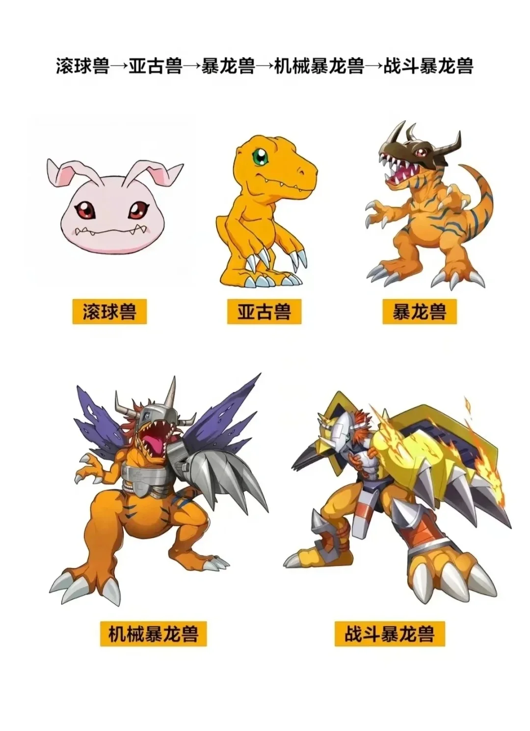 魔力宝贝宠物的进化奥秘